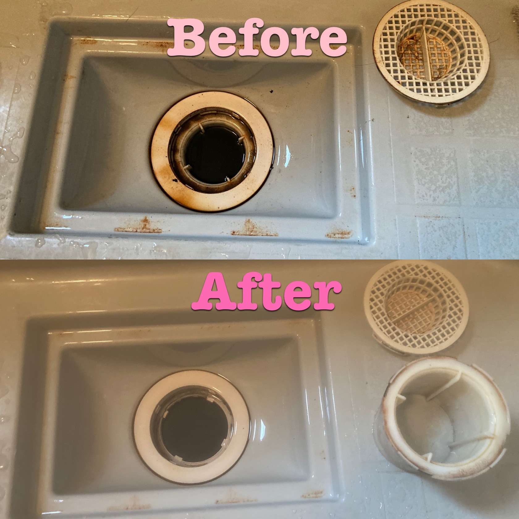 茅ヶ崎市 みけさん