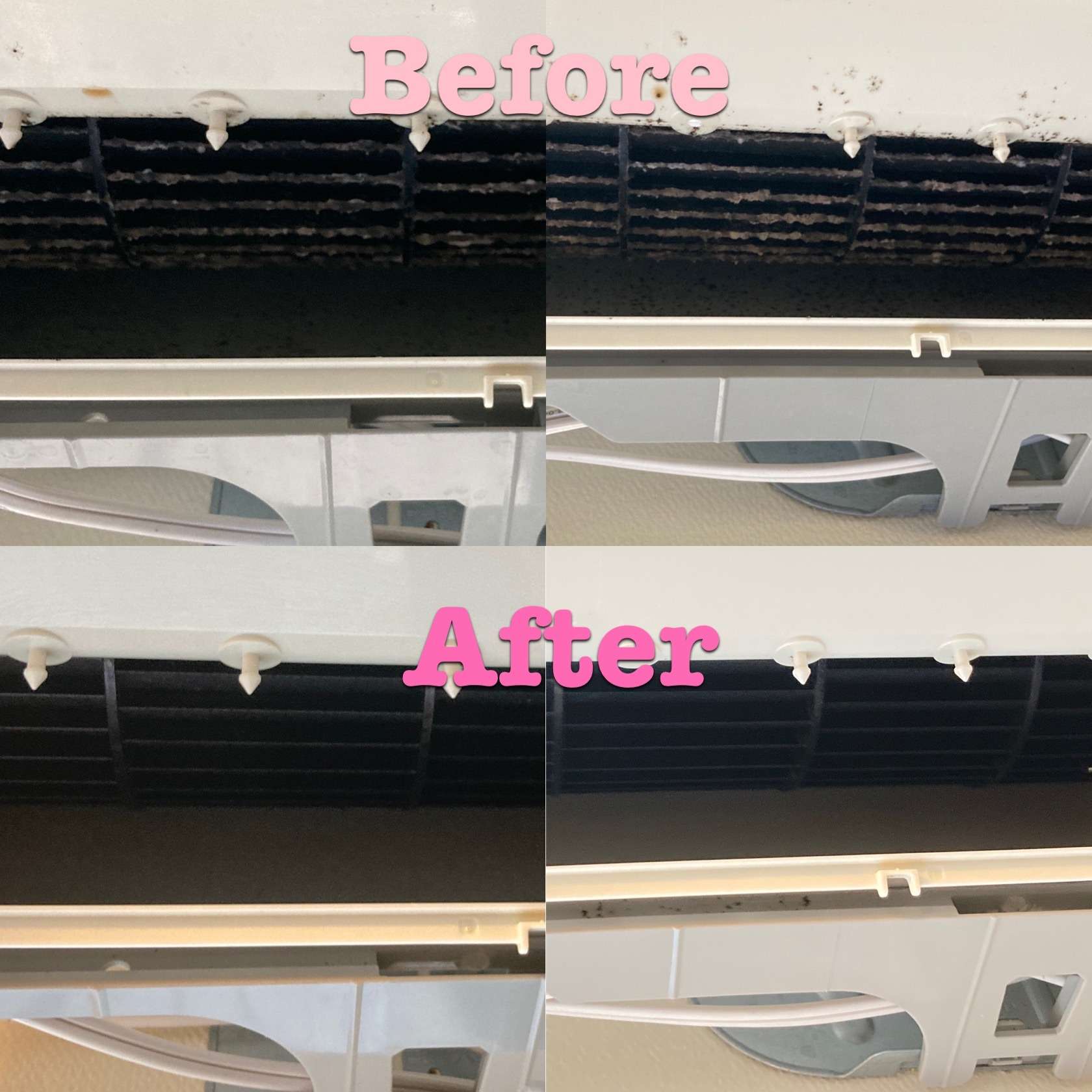 寒川町 さとうさん