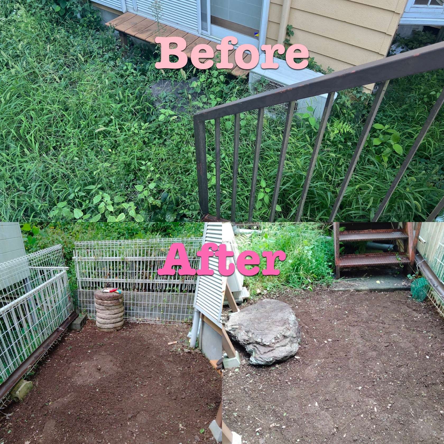 座間市 クッキーさん