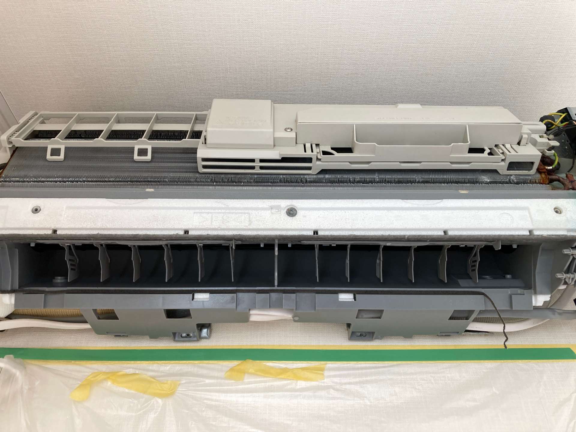 茅ヶ崎市 コロコロさん