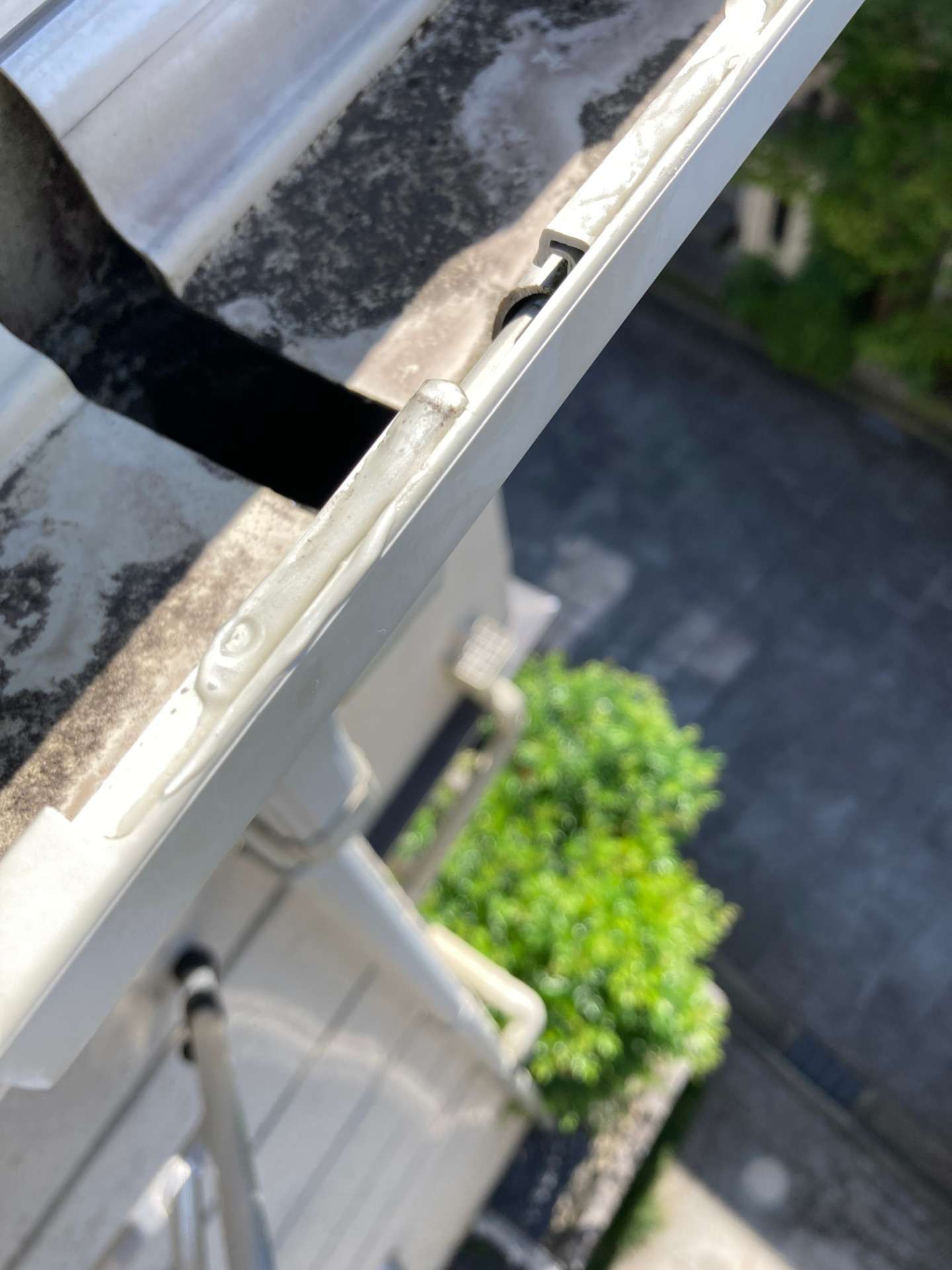 川崎市 匿名さん